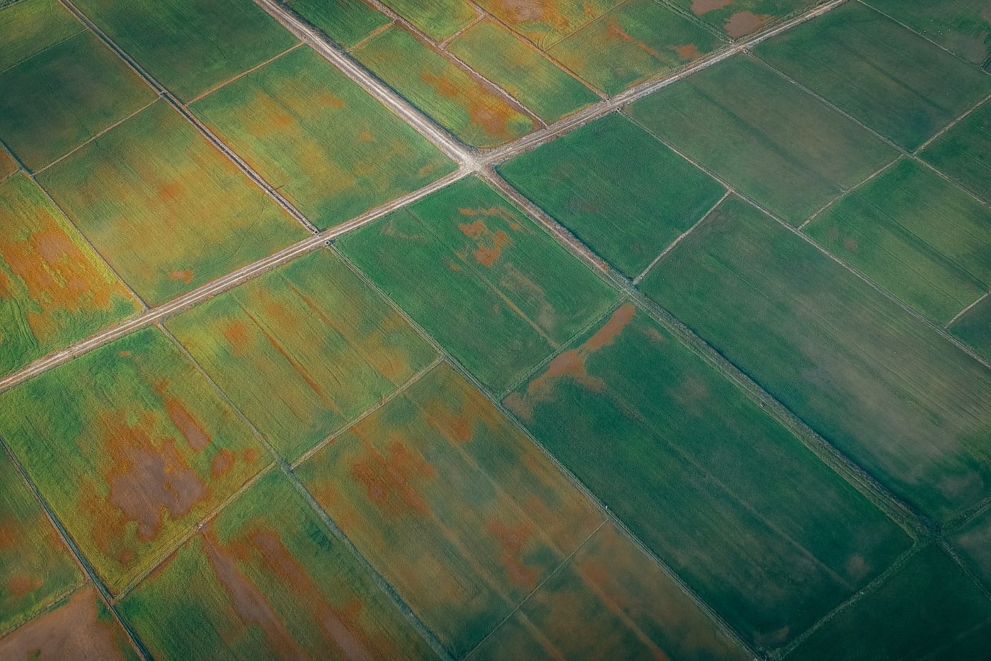 Aerial farmland