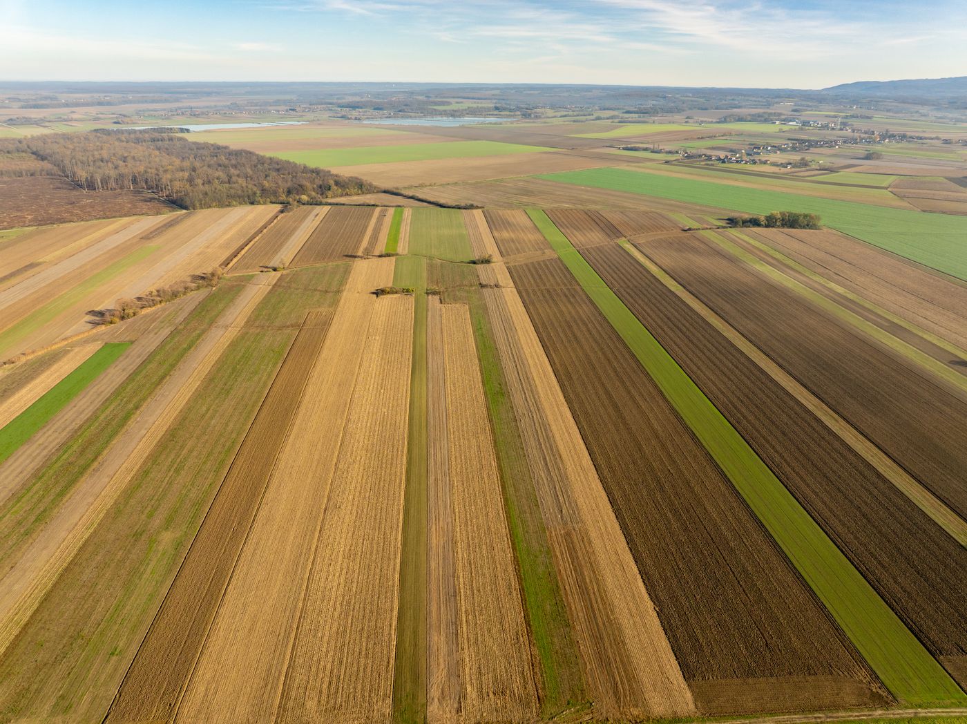 Wide fields from above